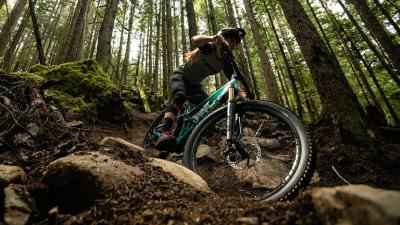 Trek PowerflyFS4 EQ EU L 29 Blue Sage/Juniper Produktbild 15