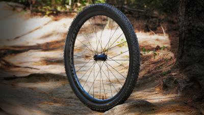 Bontrager Reifen Bontrager Sainte-Anne RSL XR 29x2.40 TLR Bl Produktbild 3