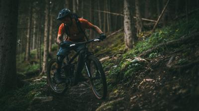 Trek Rail+ 9.7 EU XL Slate Produktbild 4
