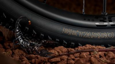 Bontrager Tire Bontrager Betasso RSL 700x55c TLR Black/Tan Produktbild 6