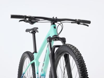 Trek Marlin 5 L 29 Miami Green/Dark Aquatic Fade Produktbild 3