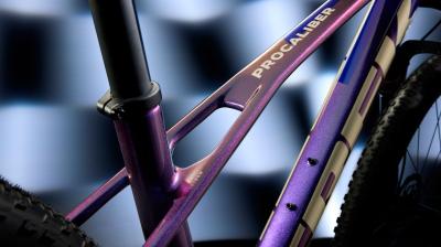 Trek Procaliber 9.5 ML Matte Keswick Green/Mercury Produktbild 6