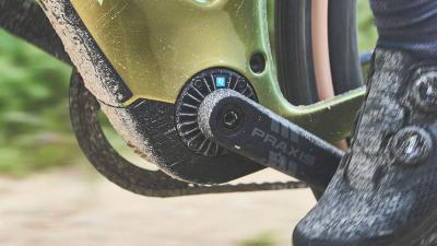 Trek Checkpoint+ SL 5 EU M Matte Bronze Age/Dark Web Produktbild 5