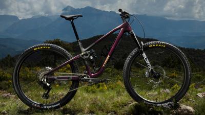 Trek Fuel LX 9.8 XT DI2 XXL Gloss Chameleon Green /Matt Produktbild 5