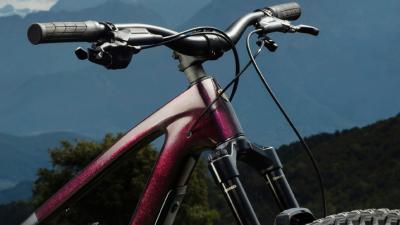 Trek Fuel MX 9.8 XT M Gloss Chameleon Green /Matte Blac Produktbild 3