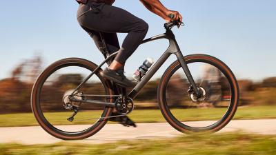 Trek FX SPORT SL 4 SO L Buff Beige Produktbild 1
