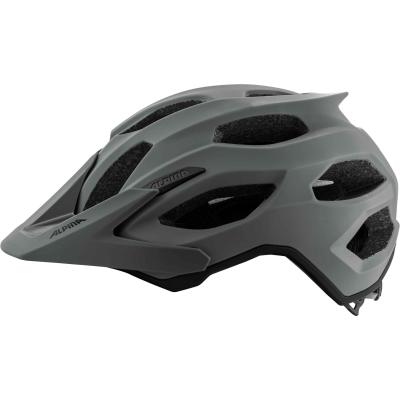 ALPINA Sports CARAPAX 2.0 coffee-grey matt 52-57 Produktbild 2