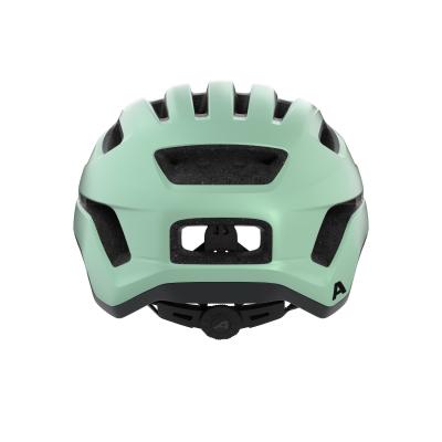 ALPINA Sports PARANUS pastel green matt 59-61 Produktbild 3