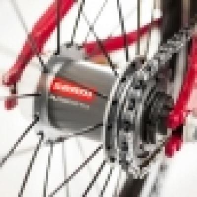 16er Kubike Custom MTB Sram 2-Gang Automatik Schaltung Produktbild 1
